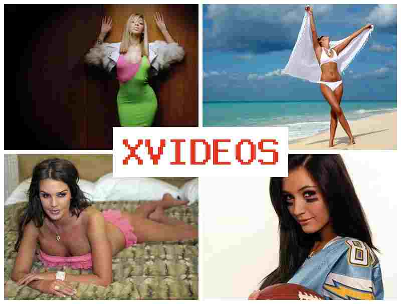 XVUDEOS 🔻 Big Ass Pawg Sex Hot XVUDEOS 🔻 Big Ass Pawg Sex Hot